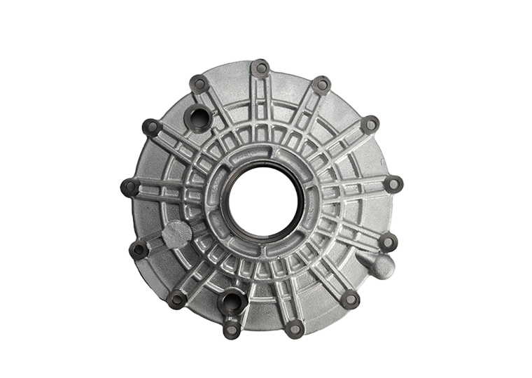 Cast iron cover plate